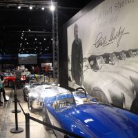 Shelby01